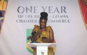 Brazil-Ghana Chamber of Commerce charts path for expansion